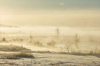 Fog in winter landscape