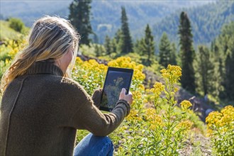 Caucasian girl photographing landscape with digital tablet