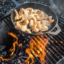 Shrimp frying in skillet over campfire