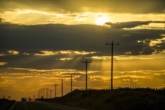 Road and utility poles at sunset