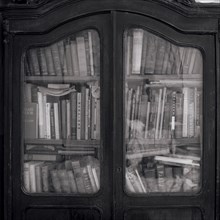 Books in wooden cabinet