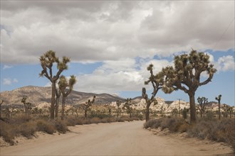 Empty road in rural desert landscape