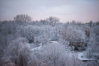 Trees over park in snowy landscape
