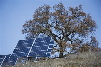 Solar panels on rural hillside