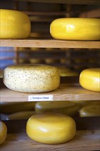Close up of cheese on shelf