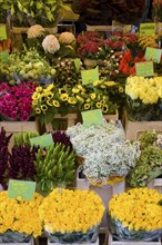 Various flowers for sale in market stall
