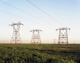 Electricity pylons in grass landscape