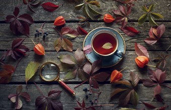 Fallen leaves and berries on wooden table with tea and magnifying glass