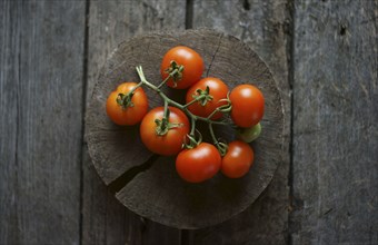 Tomatoes on vine on wooden tree slice