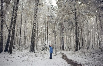 Caucasian boy looking up in snowy forest