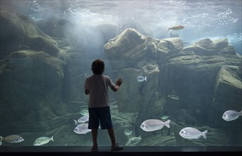 Caucasian boy leaning on aquarium tank watching swimming fish