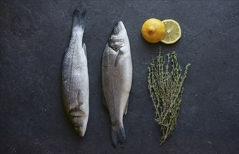 Fish with sliced lemons and rosemary