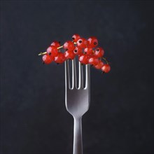 Red berries on fork