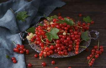 Red berries and leaves on tray