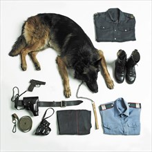 Organized police uniform and equipment with dog