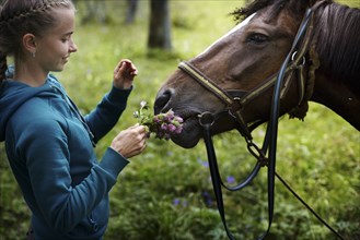 Caucasian girl holding flowers for horse to smell