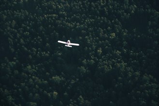 Aerial view of airplane flying over trees