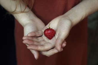 Strawberry in hand of woman