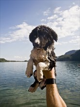 Man holding wet puppy near lake
