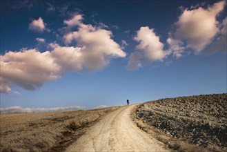 Man walking on dirt road