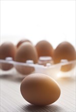 Close up of egg and egg carton