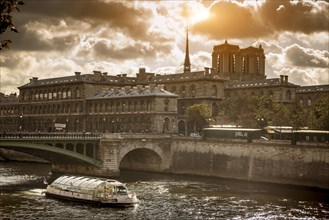 Buildings and bridge over river in Paris