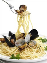 Close up of fork twirling pasta with seafood