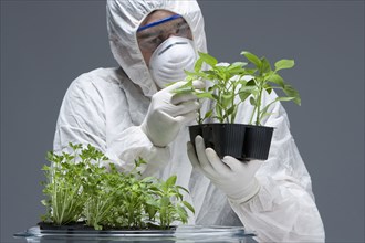 Caucasian scientist wearing clean suit examining seedling