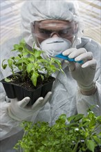 Caucasian scientist wearing clean suit pouring liquid on seedling