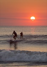 Silhouette of men paddleboarding on ocean waves