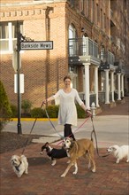 Caucasian woman walking dogs in city