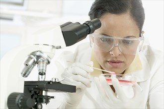Woman studying culture in lab