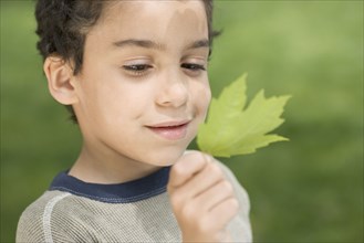 Boy studying green leaf