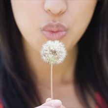 Close up of lower half of woman's face blowing dandelion
