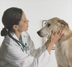 Female veterinarian examining a dog