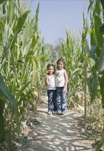 Hispanic sisters in corn field