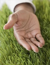 African woman's hand open in grass