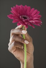 African woman holding flower