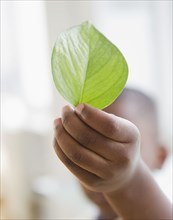 Black boy holding green leaf