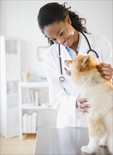 Mixed race veterinarian examining Pomeranian dog