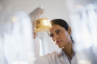 Indian scientist examining chemicals in lab