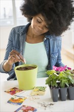Mixed race woman planting flowers and seeds