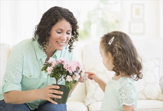 Mixed race mother and daughter examining flowers