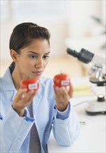 Hispanic scientist examining samples in laboratory