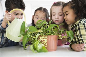 Children watering plant together