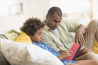 Father and son reading book in living room