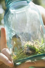 Close up of Caucasian boy holding jar with frog