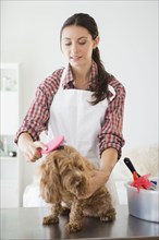 Caucasian groomer brushing dog