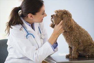 Caucasian veterinarian checking mouth of dog