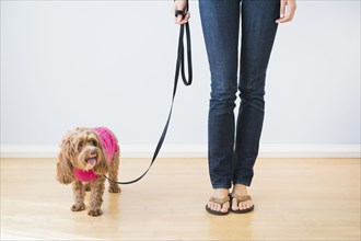 Caucasian woman with pet dog on leash